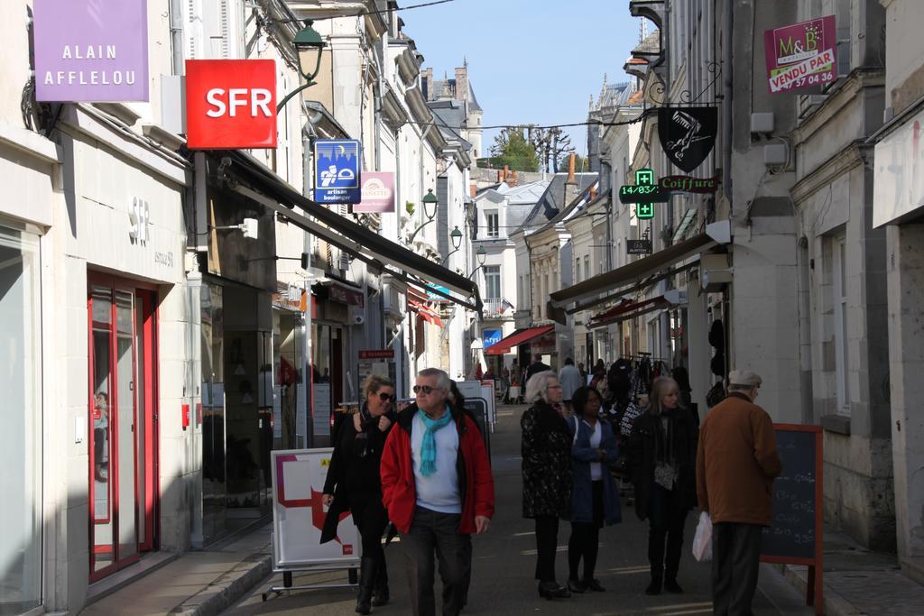 Sur Les Toits D'Amboise Daire Dış mekan fotoğraf