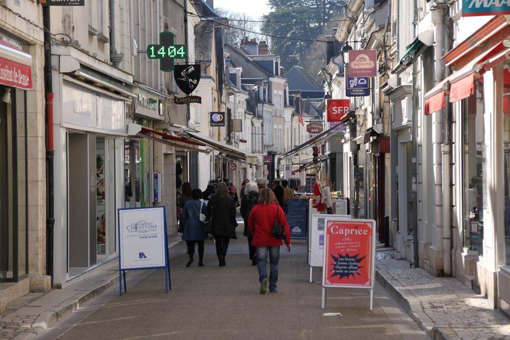 Sur Les Toits D'Amboise Daire Dış mekan fotoğraf