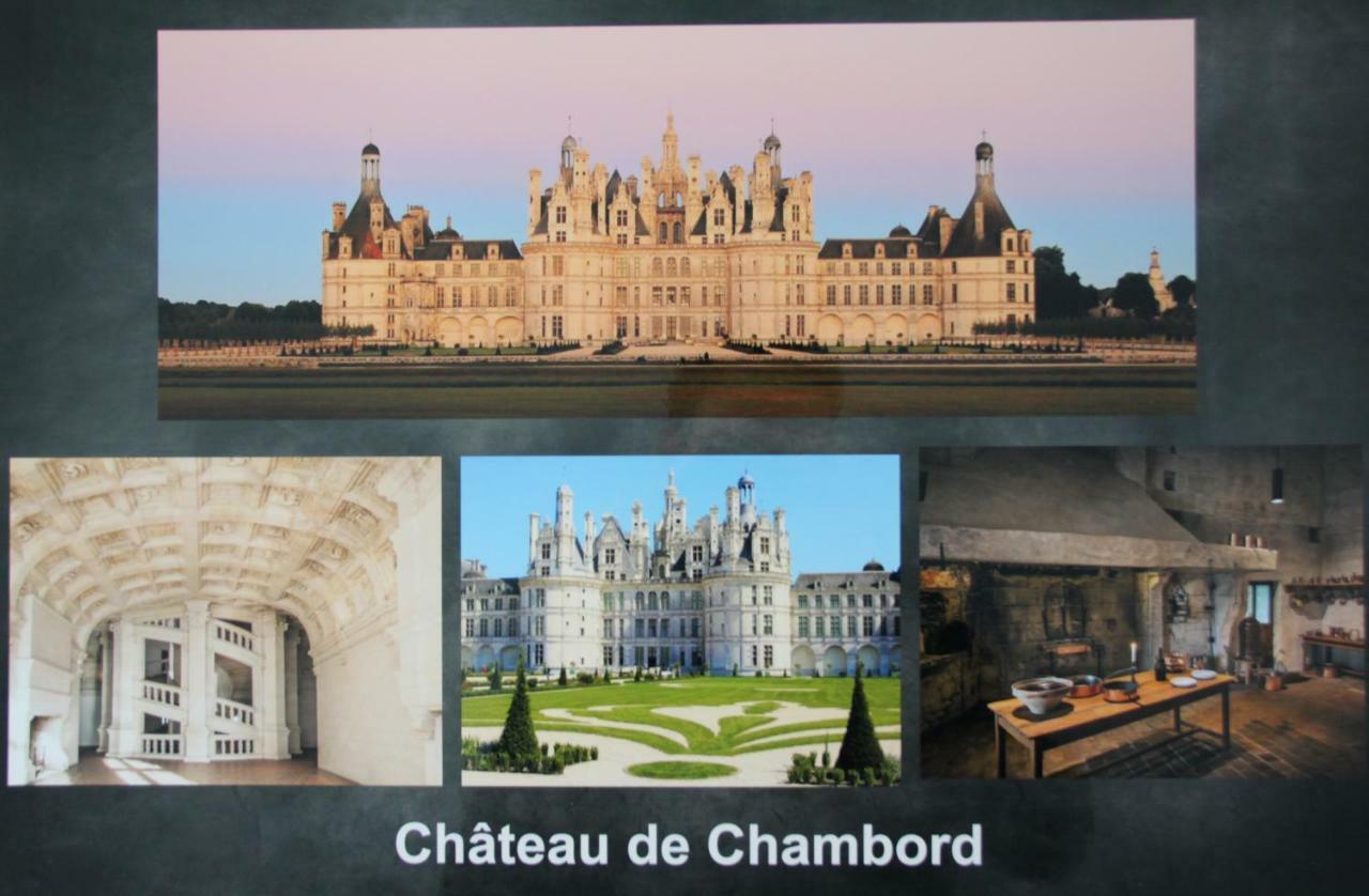 Sur Les Toits D'Amboise Daire Dış mekan fotoğraf