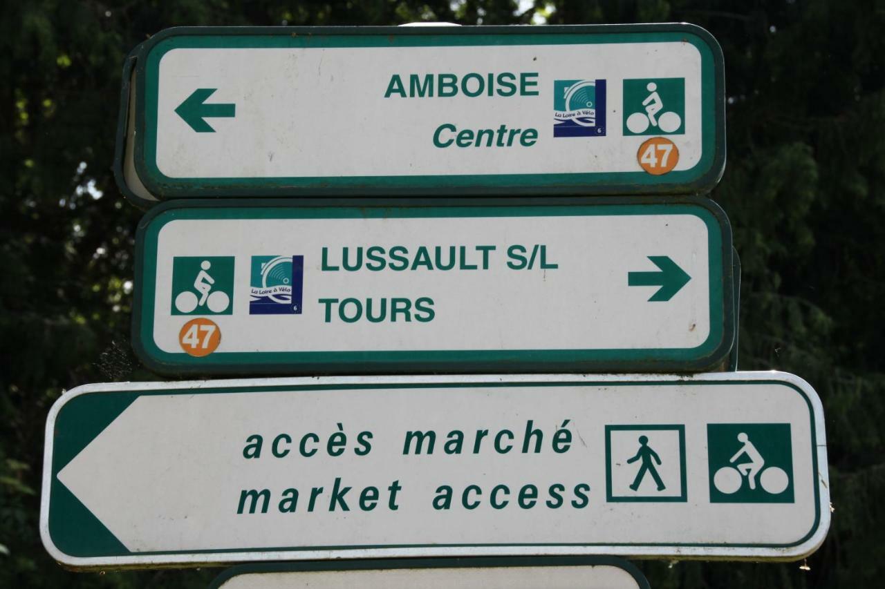 Sur Les Toits D'Amboise Daire Dış mekan fotoğraf