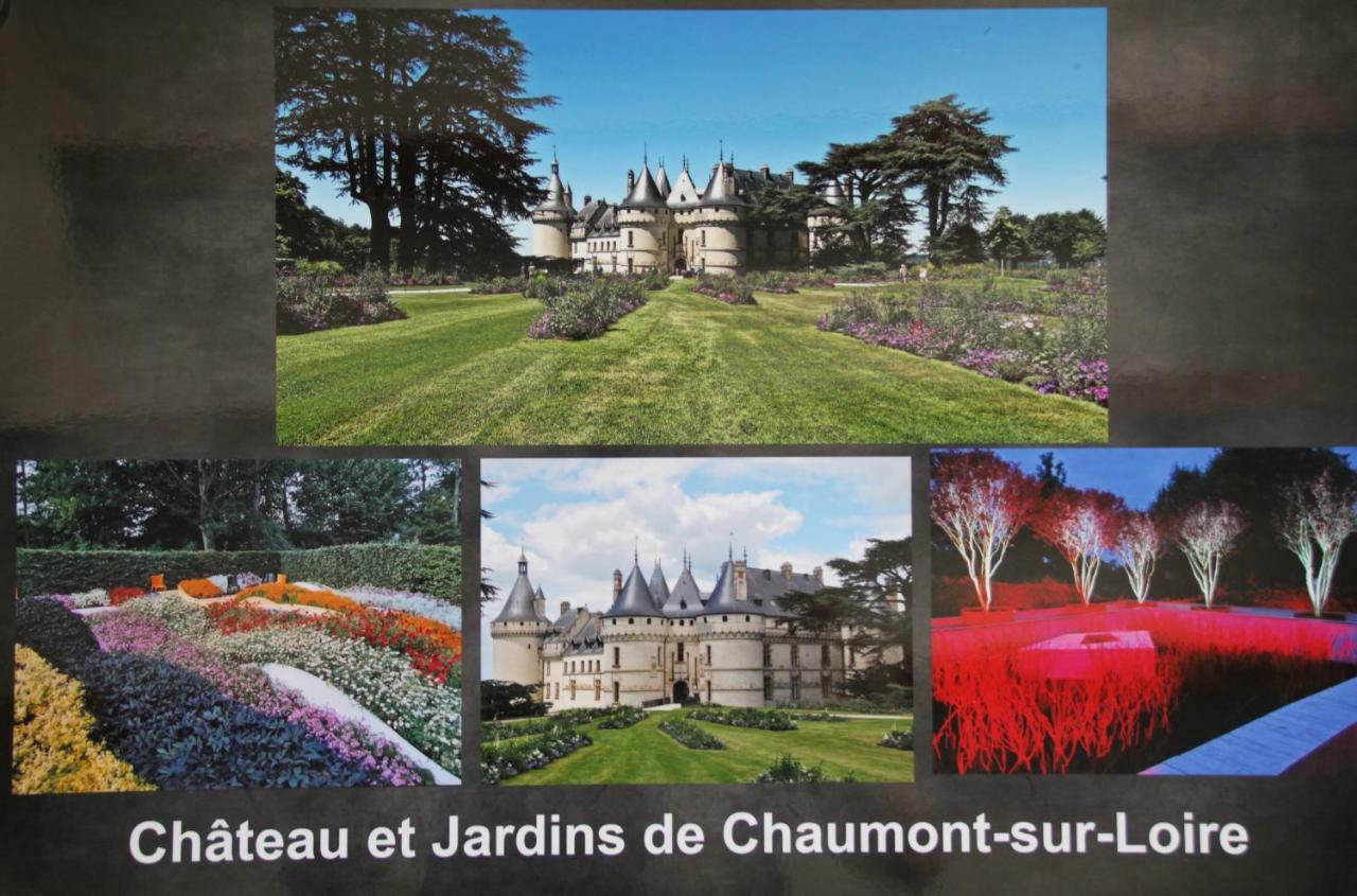 Sur Les Toits D'Amboise Daire Dış mekan fotoğraf