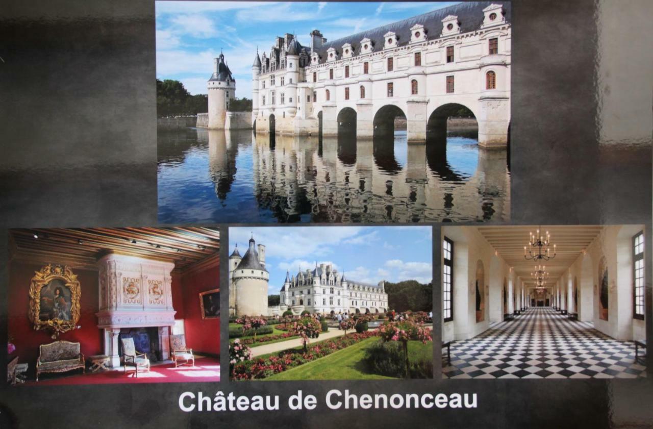 Sur Les Toits D'Amboise Daire Dış mekan fotoğraf